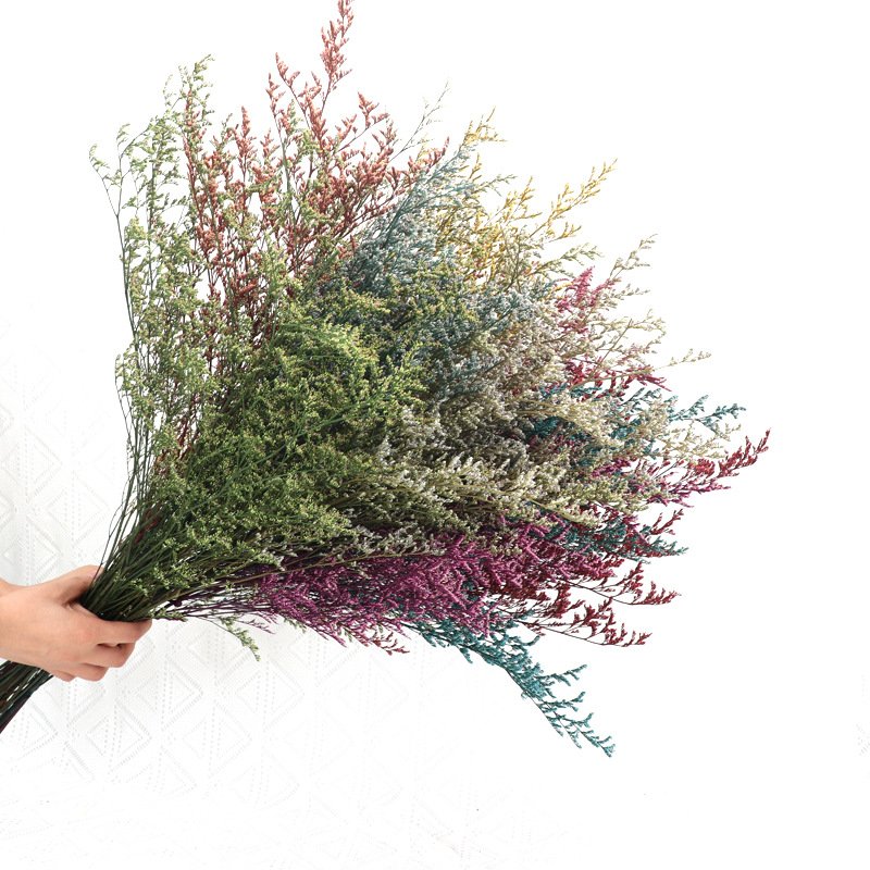 Factory Wholesale dried caspea Natural Dried Lover's grass for wedding home party decor