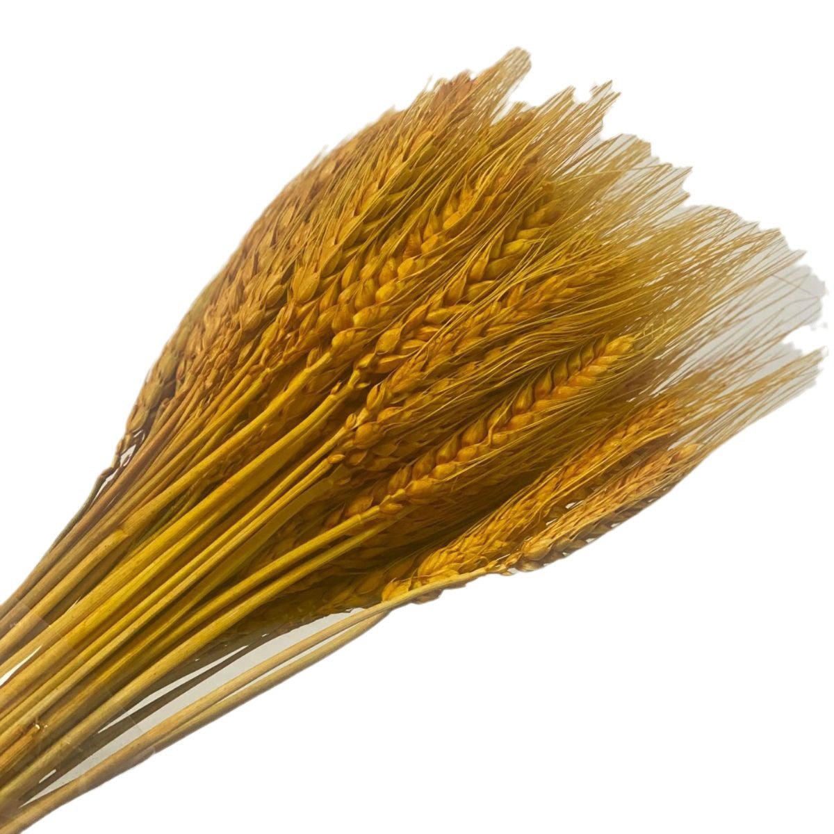 Gold Wheat Golden artificial dried flower living room furnishings decoration natural wheat barley bouquet flower basket opening