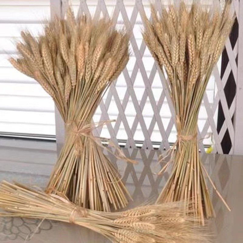 Gold Wheat Golden artificial dried flower living room furnishings decoration natural wheat barley bouquet flower basket opening