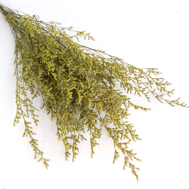 Wholesale Yunnan dried lovegrass flowers bouquets gypsophila flower home wedding decorations babies breath preserved