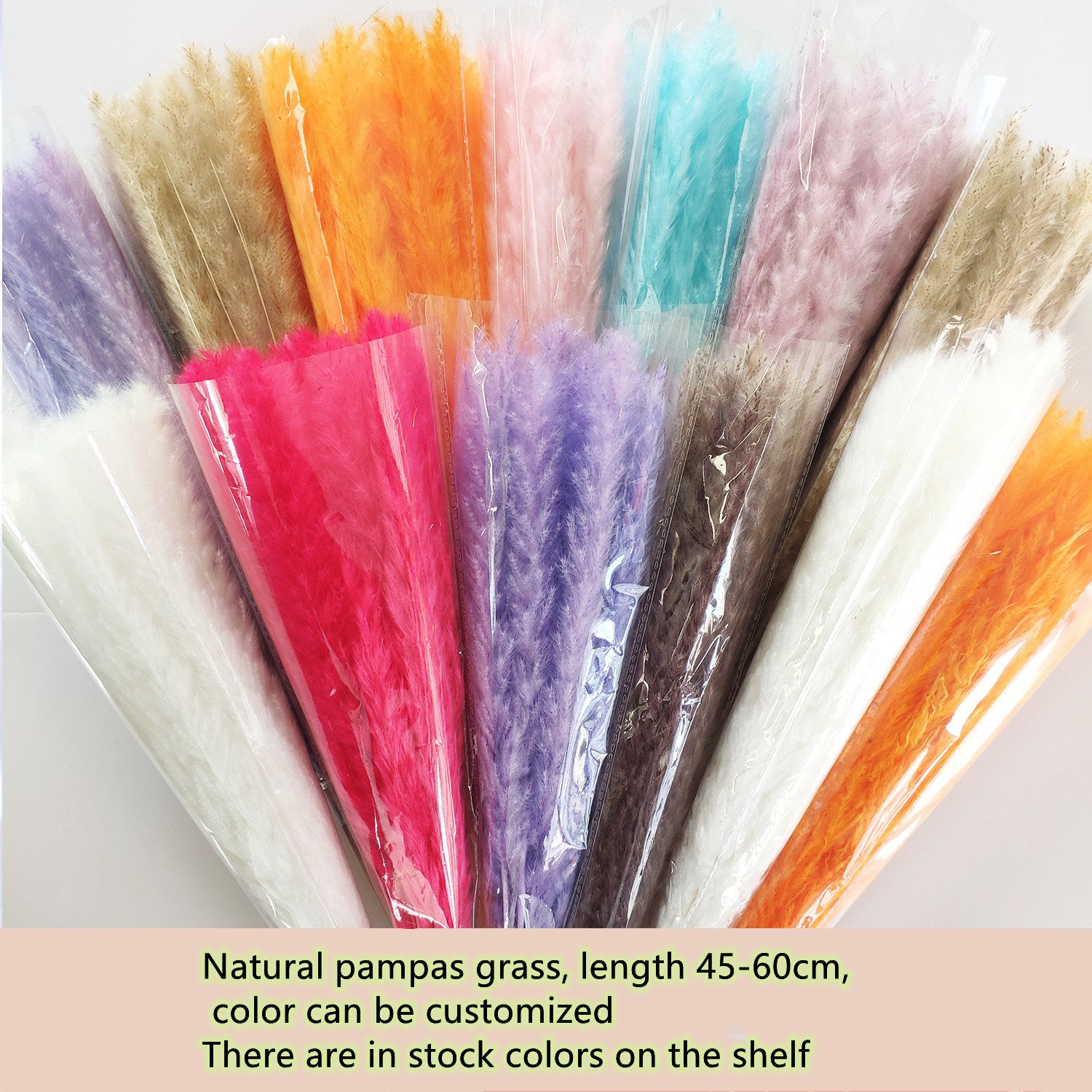 Bohemian style Perfect Wedding Home Decor Dried flower Natural Dried small Pampas Grass