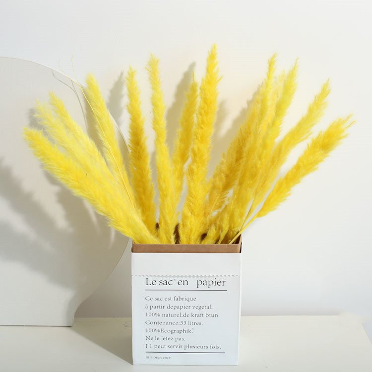 Bohemian style Perfect Wedding Home Decor Dried flower Natural Dried small Pampas Grass