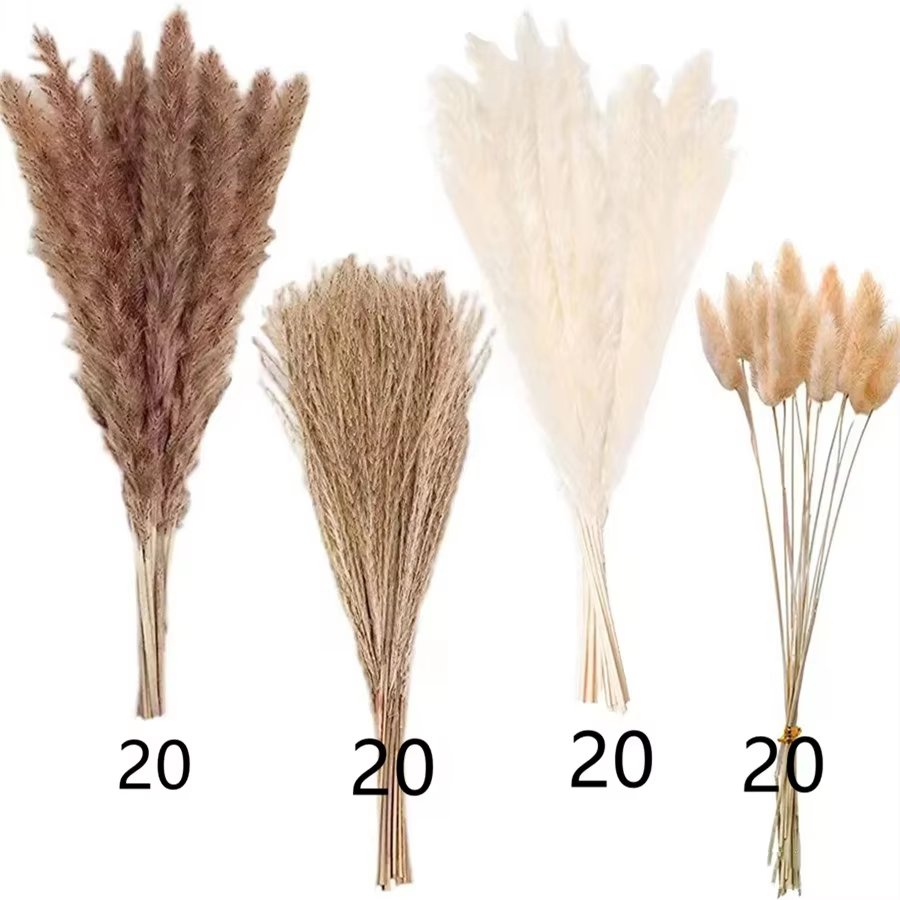 Bohemian style Perfect Wedding Home Decor Dried flower Natural Dried small Pampas Grass