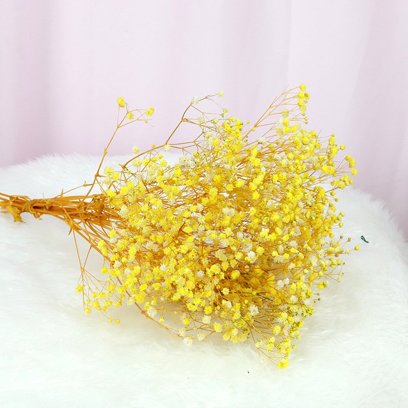 Wholesale A Grade decorative flower colorful babysbreath , boho dried flowers bouquet preserved gypsophila flower