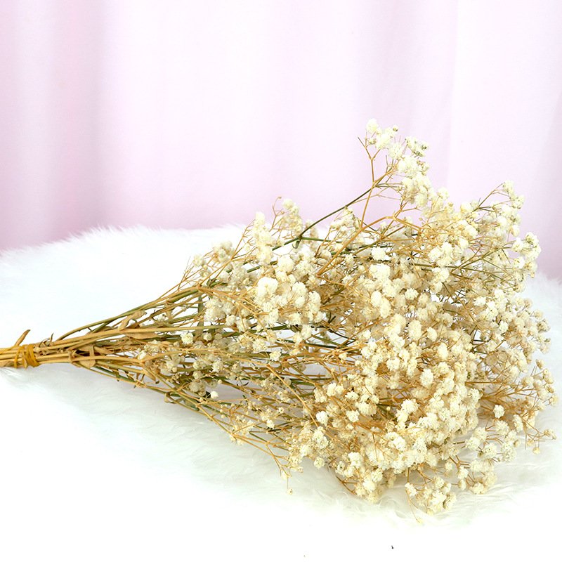 Wholesale A Grade decorative flower colorful babysbreath , boho dried flowers bouquet preserved gypsophila flower