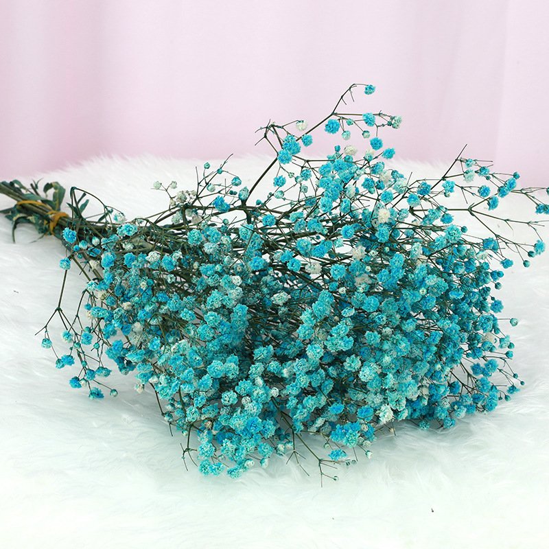 Wholesale A Grade decorative flower colorful babysbreath , boho dried flowers bouquet preserved gypsophila flower
