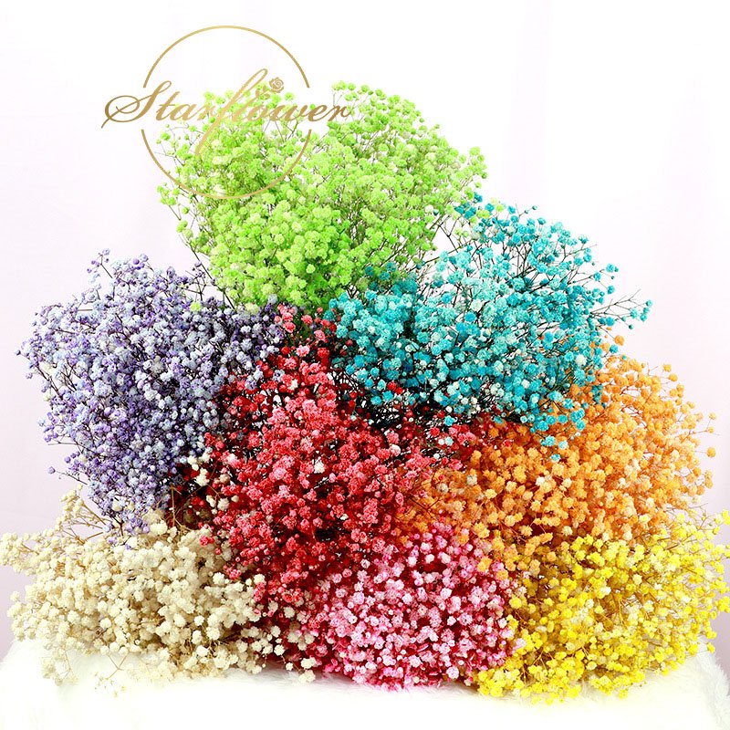 Wholesale A Grade decorative flower colorful babysbreath , boho dried flowers bouquet preserved gypsophila flower