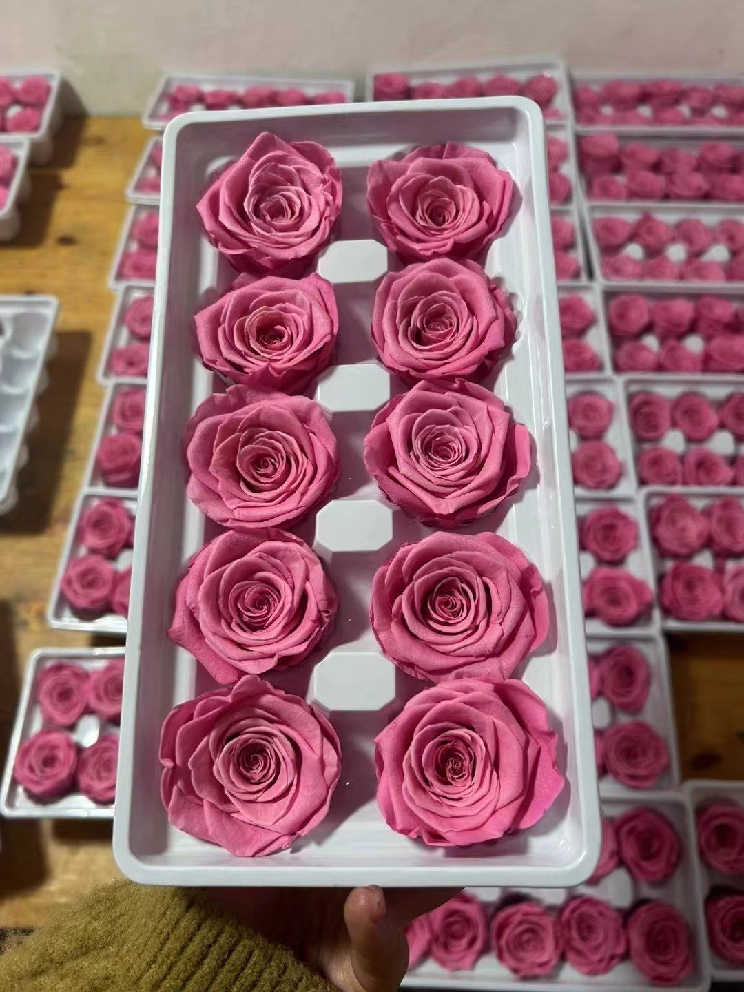 P-3 Preserved Roses 3-4cm Pack of 10 Colorful Preserved Roses Wedding decor Floral Arrangement flowers bouquet