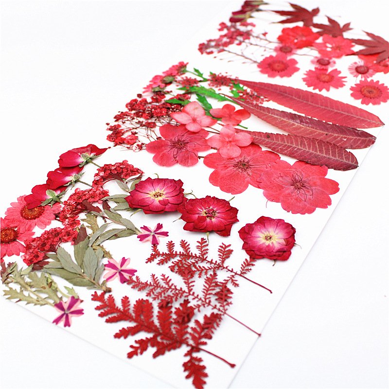 Wholesale Diy Mixed pressed dried flowers Grass Crafts Art Natural Dry Pressed Flowers For resin makeup