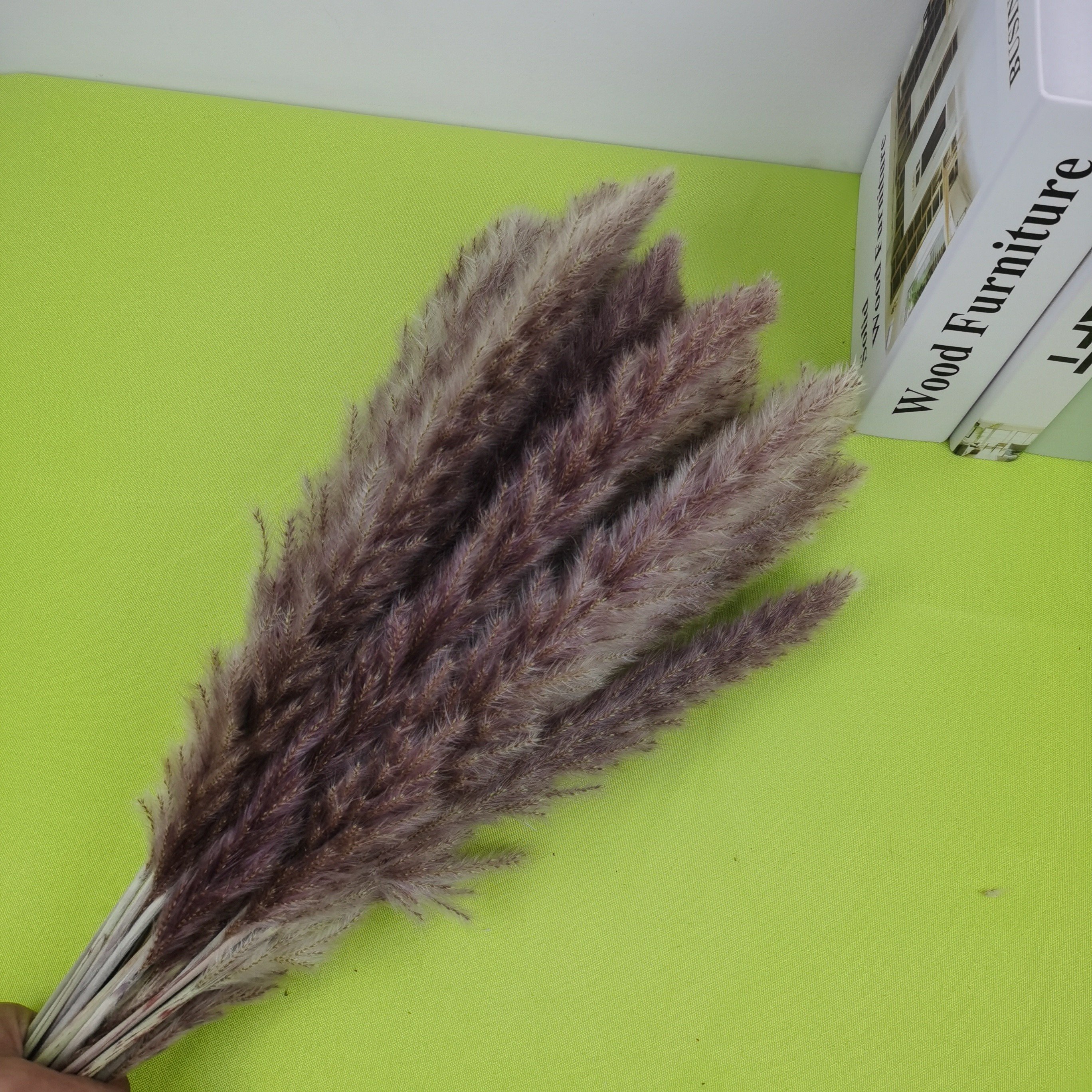 Small Reeds Pampas Grass Whisks Rabbit Tail Grass Natural Dried Flower Bouquets Boho Flower Arrangements Wedding Home Decorating
