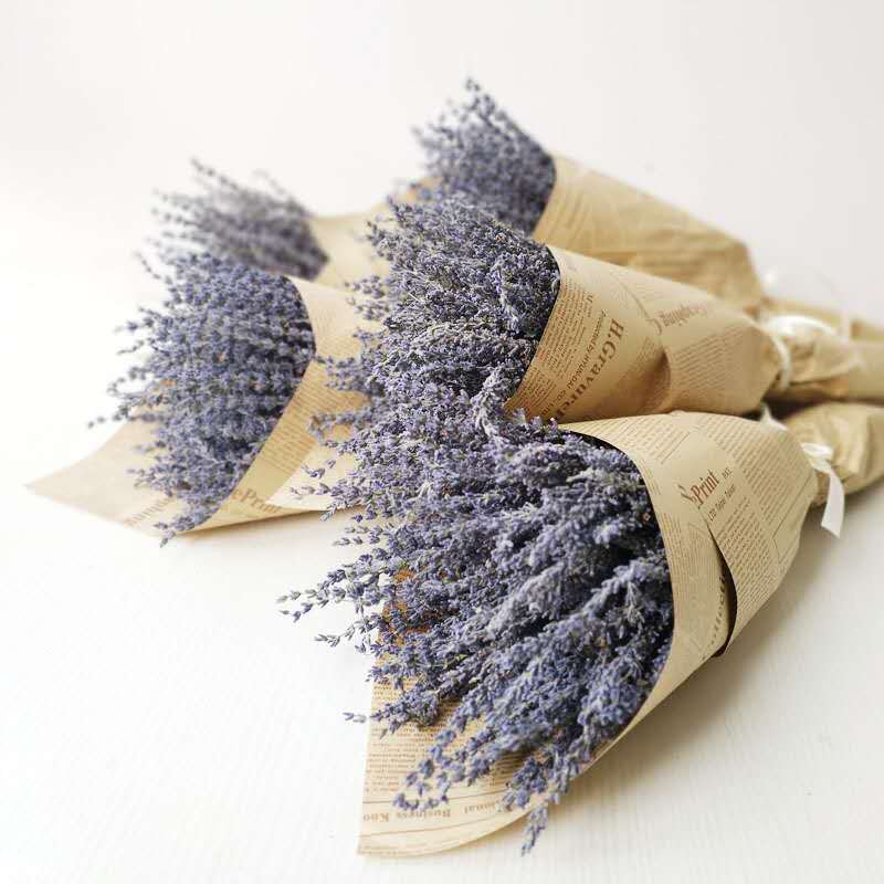 2024 Wholesale natural decorative flowers and plants dried lavender flowers for home decor