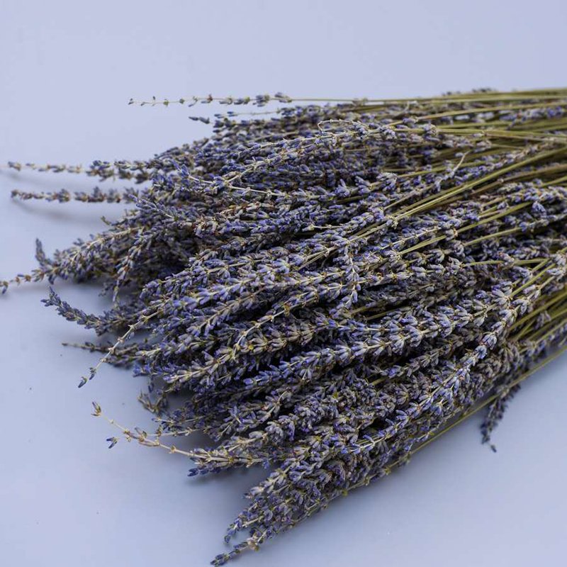 2024 Wholesale natural decorative flowers and plants dried lavender flowers for home decor