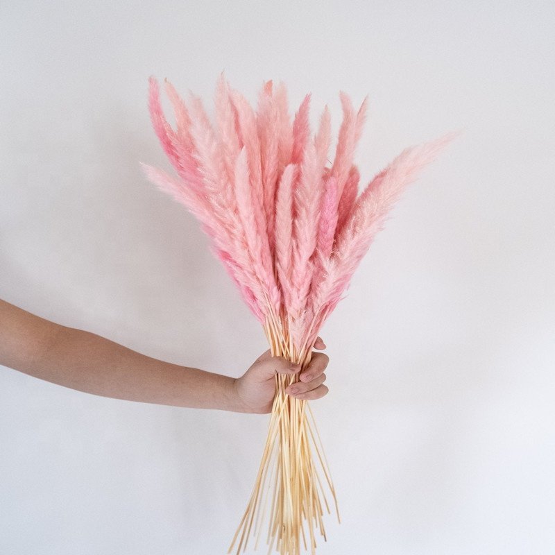 Factory Supply Natural Dried Pampas Grass Flower Dried Flowers and Plants for Home Wedding Party Decor