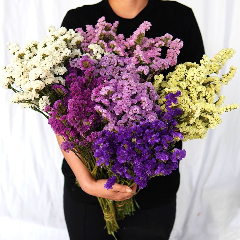 120g Preserved Dried Myosotis Sylvatica Flower Forget Me Not Dried Flower Wreath Material Statice Limonium Sylvatica Fower