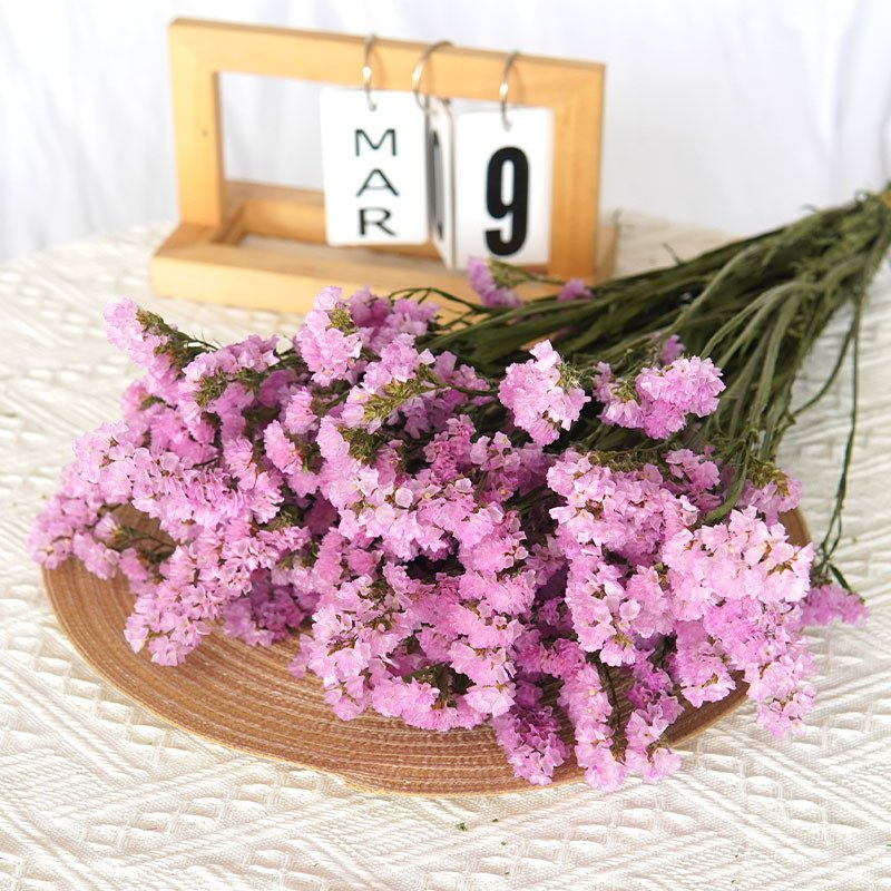 120g Preserved Dried Myosotis Sylvatica Flower Forget Me Not Dried Flower Wreath Material Statice Limonium Sylvatica Fower