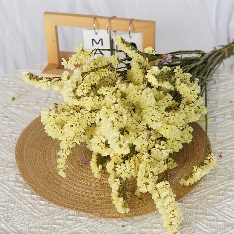 120g Preserved Dried Myosotis Sylvatica Flower Forget Me Not Dried Flower Wreath Material Statice Limonium Sylvatica Fower