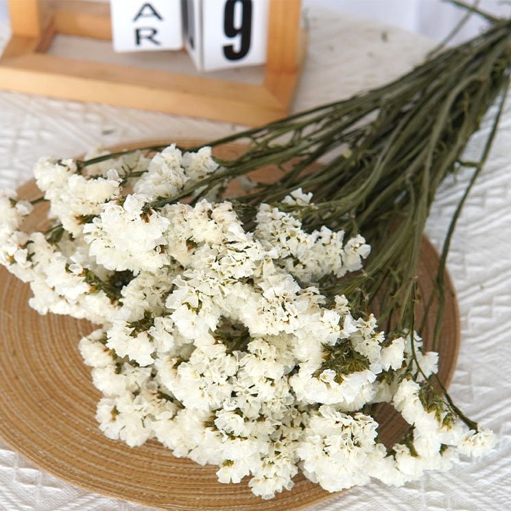 120g Preserved Dried Myosotis Sylvatica Flower Forget Me Not Dried Flower Wreath Material Statice Limonium Sylvatica Fower