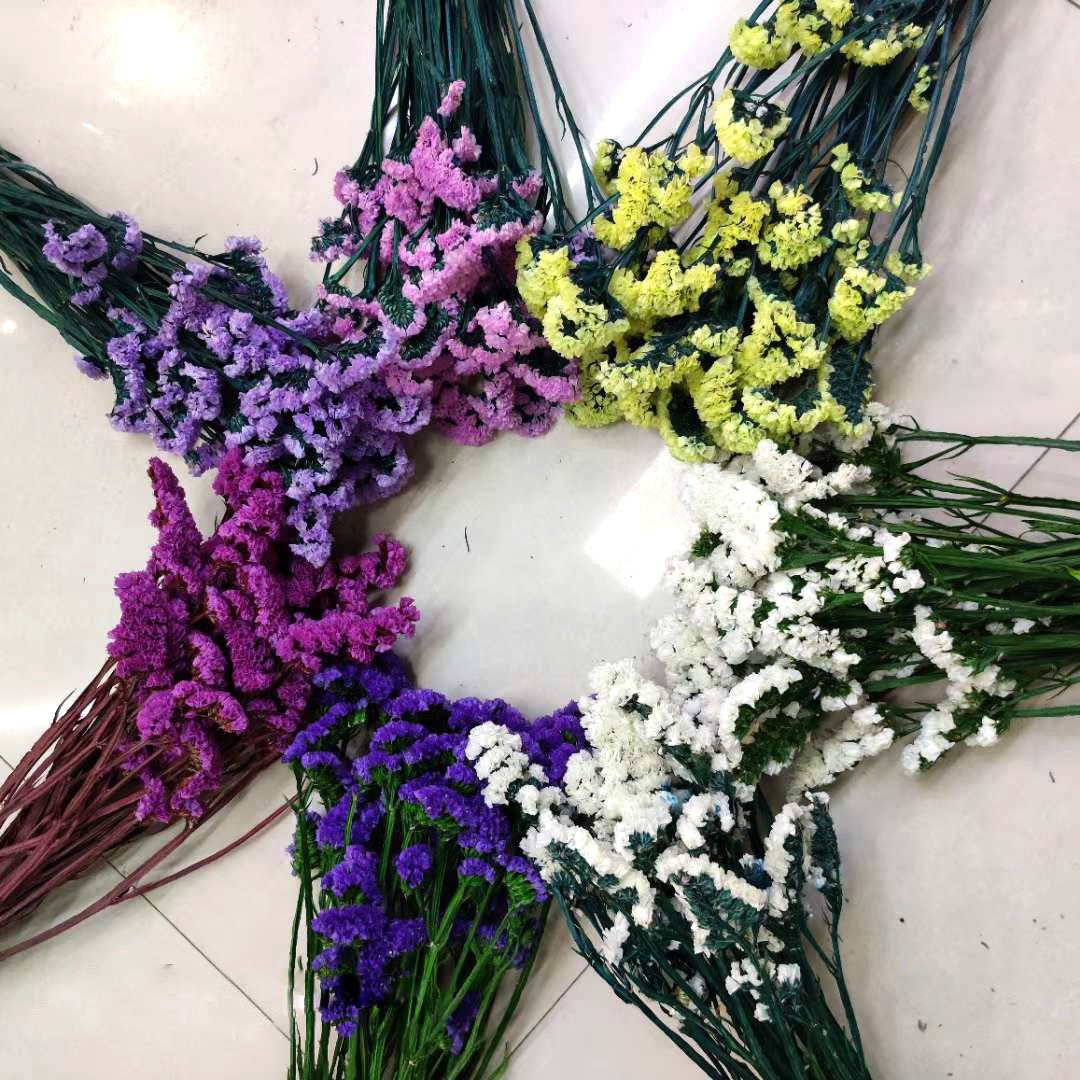 120g Preserved Dried Myosotis Sylvatica Flower Forget Me Not Dried Flower Wreath Material Statice Limonium Sylvatica Fower