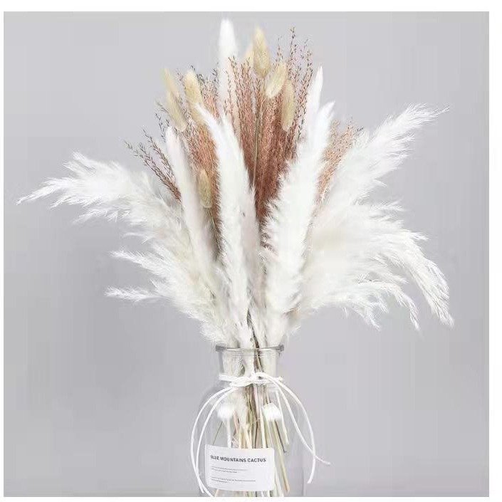 DESITA cheap Pampas grass dried flowers reed bouquet BOHO Home decorative flowers gift preserved flower