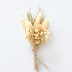 AH31