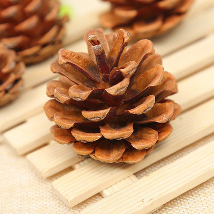 Decoration Out Door Christmas Garland Accessories Natural Pine Cone dried flowers for home decor