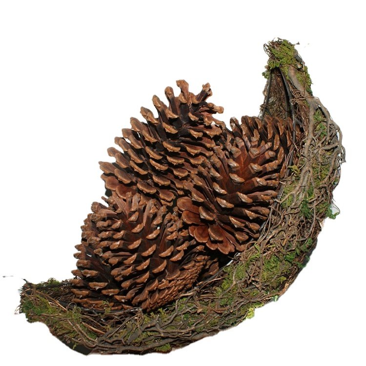 Decoration Out Door Christmas Garland Accessories Natural Pine Cone dried flowers for home decor