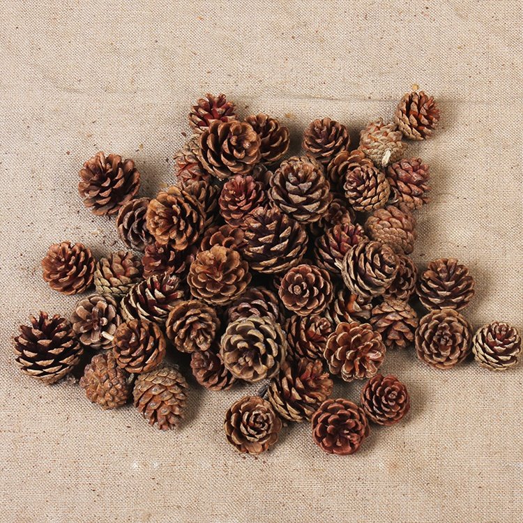 Decoration Out Door Christmas Garland Accessories Natural Pine Cone dried flowers for home decor