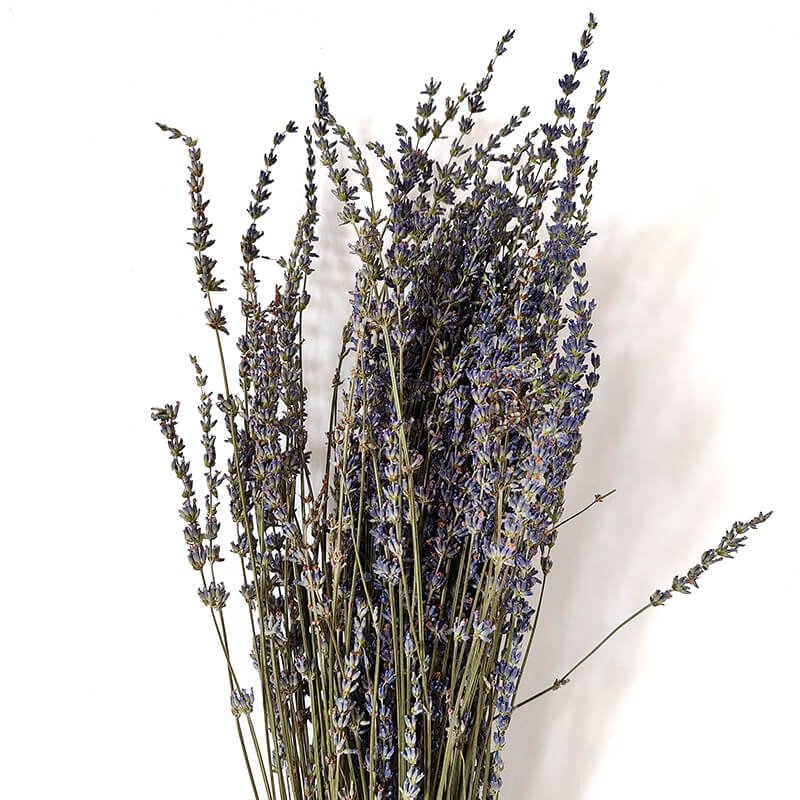 Decorative Flower Arrangement Dried Floral Materials Preserved Lavender Flowers Herb Dry Lavender Boho Lavender Bunch Flowers