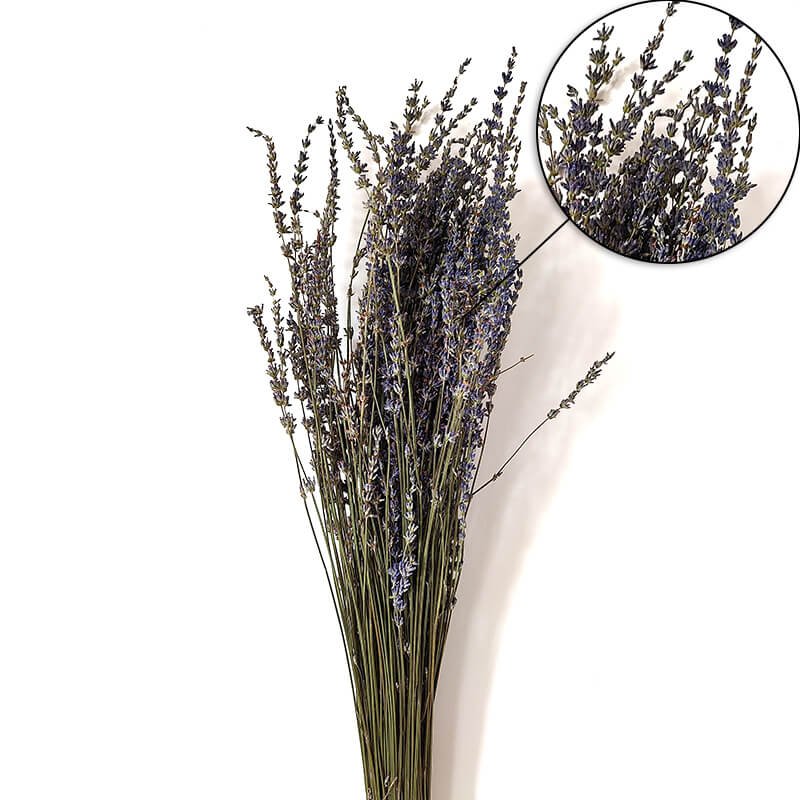 Decorative Flower Arrangement Dried Floral Materials Preserved Lavender Flowers Herb Dry Lavender Boho Lavender Bunch Flowers