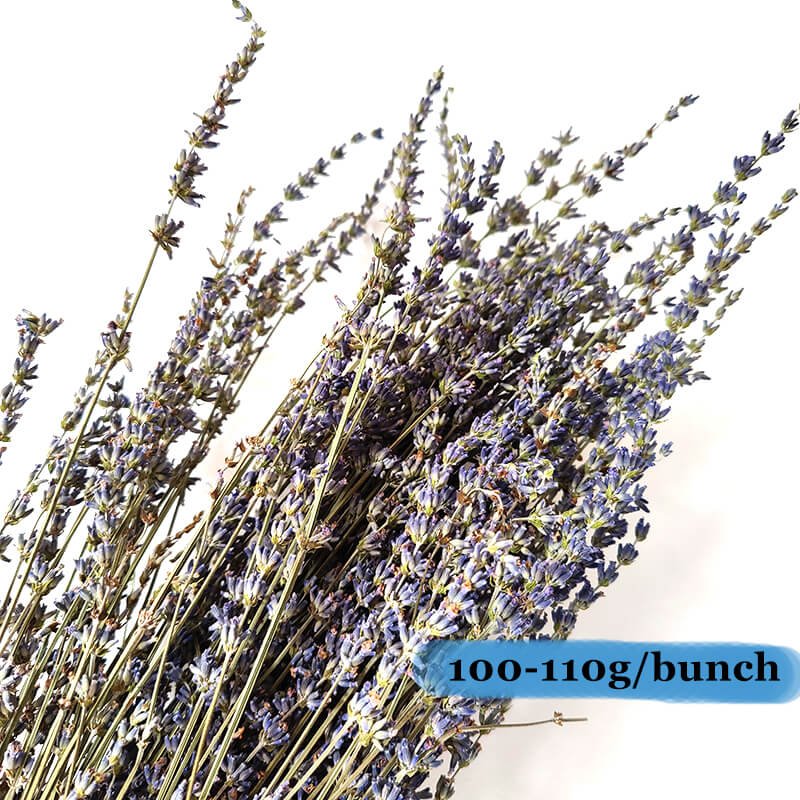 Decorative Flower Arrangement Dried Floral Materials Preserved Lavender Flowers Herb Dry Lavender Boho Lavender Bunch Flowers