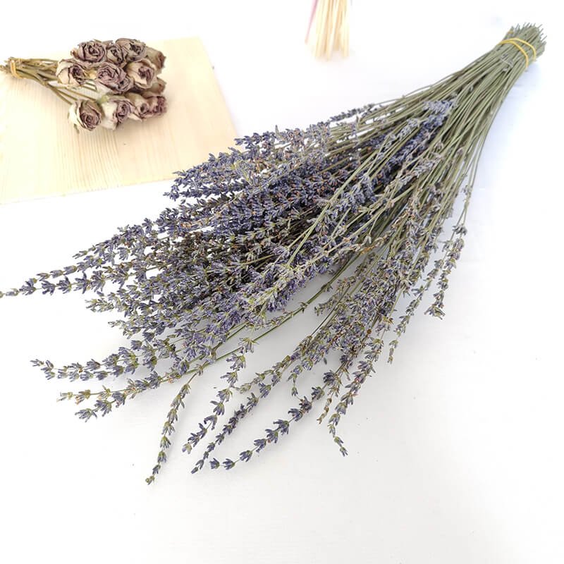 Decorative Flower Arrangement Dried Floral Materials Preserved Lavender Flowers Herb Dry Lavender Boho Lavender Bunch Flowers