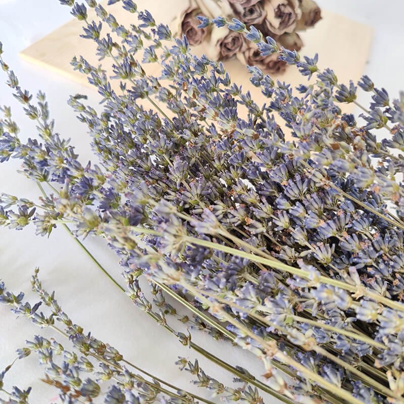 Decorative Flower Arrangement Dried Floral Materials Preserved Lavender Flowers Herb Dry Lavender Boho Lavender Bunch Flowers