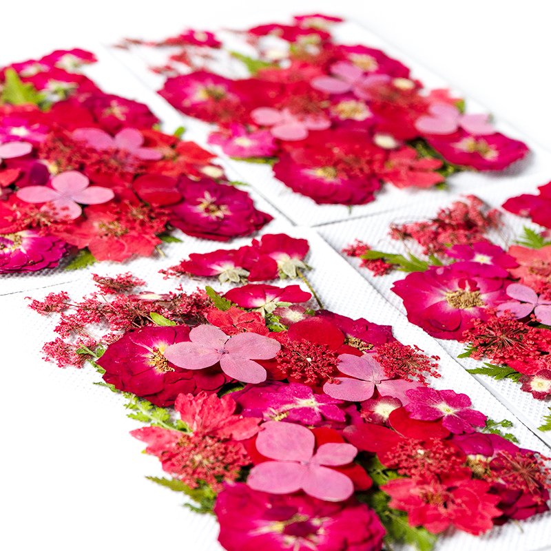 ZS026 Wholesale Mixed Pressed Dried Flowers Real Natural Dry Flower DIY Makeup Nail Phone Case Frame Plant Flower Specimens