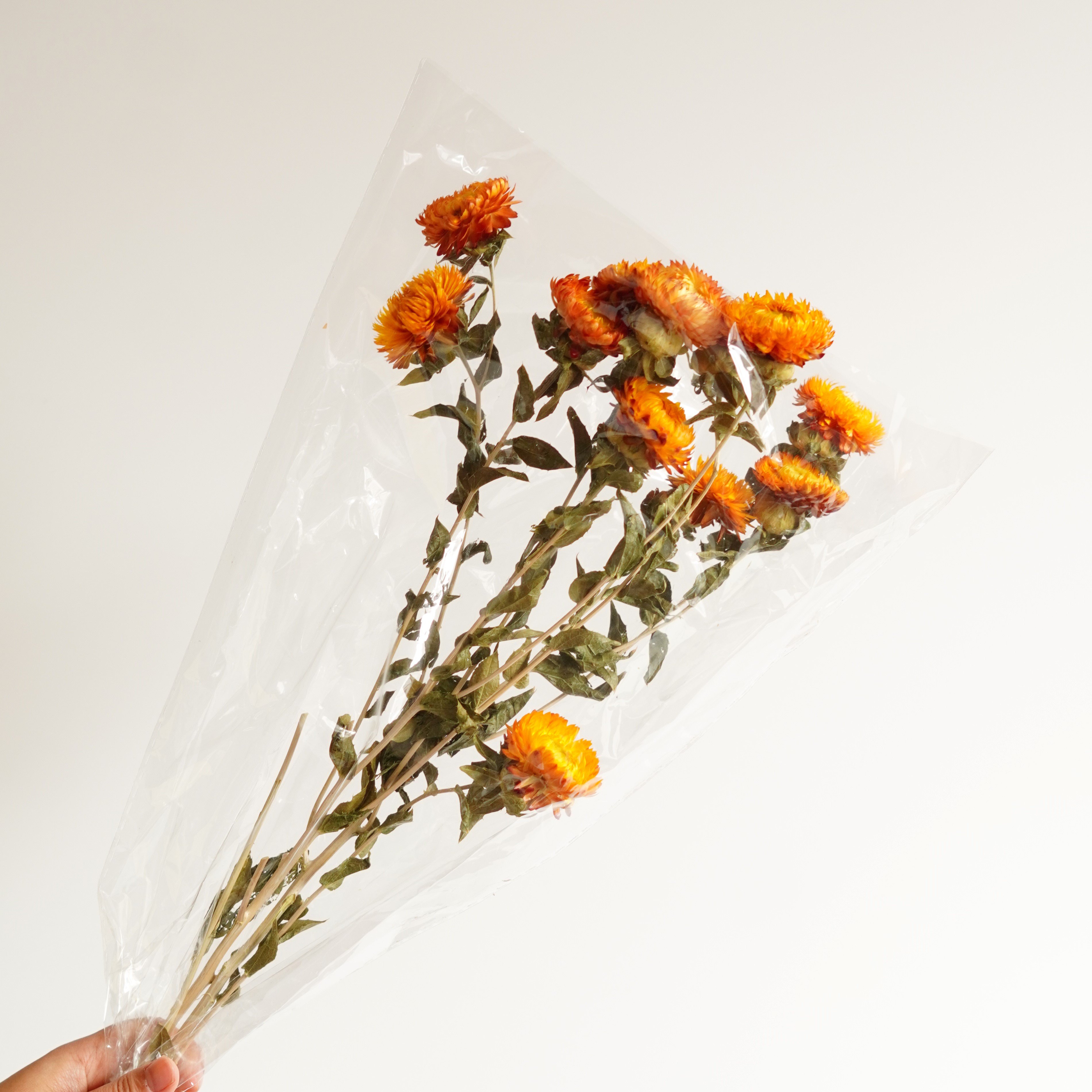 Dried Strawflower Stems for decor, arrangements, centerpieces, wreaths,Dry Daisy/Chrysanthemum Bouquet