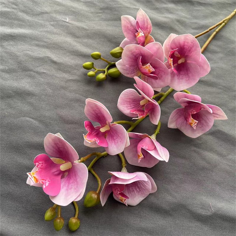 Latex Butterfly Orchid Flower Mini Two Forks Real Touch Wedding Decoration Artificial 9 Heads Phalaenopsis