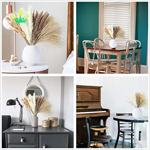 Artificial Dried Pampas Grass Decor Bunny Tails Dried Flowers Reed Grass Bouquet for Wedding Boho Flowers Home Table Decor