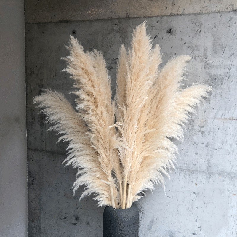 4.3ft Large chic dried flower cozy wedding decor party table flowers centerpieces natural pampas grass bouquet