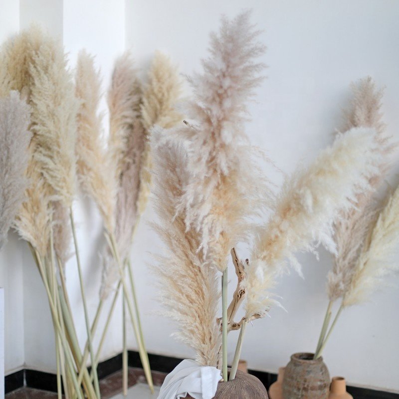 4.3ft Large chic dried flower cozy wedding decor party table flowers centerpieces natural pampas grass bouquet