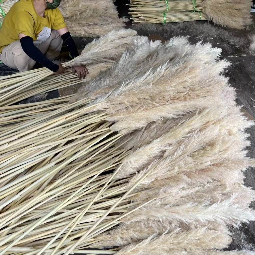 4.3ft Large chic dried flower cozy wedding decor party table flowers centerpieces natural pampas grass bouquet