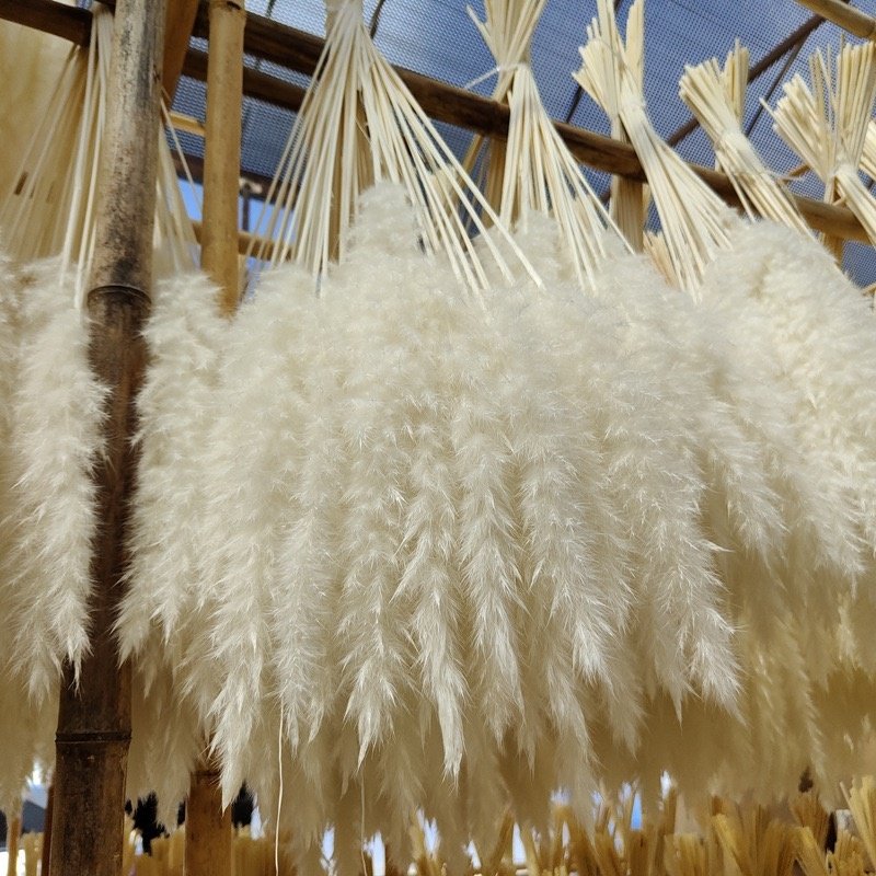 4.3ft Large chic dried flower cozy wedding decor party table flowers centerpieces natural pampas grass bouquet