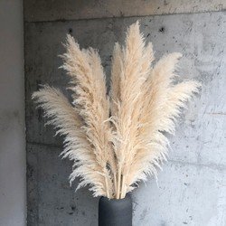 Beige-100CM