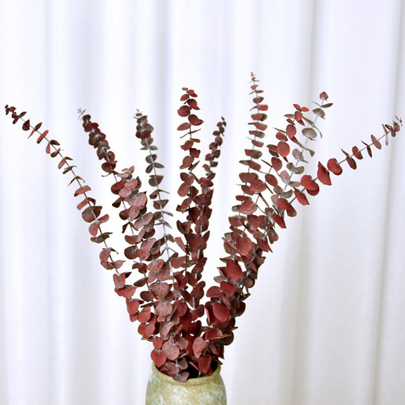 Wholesale plants dried eucalyptus leaves dry eucalyptus leaf for Christmas home decorative