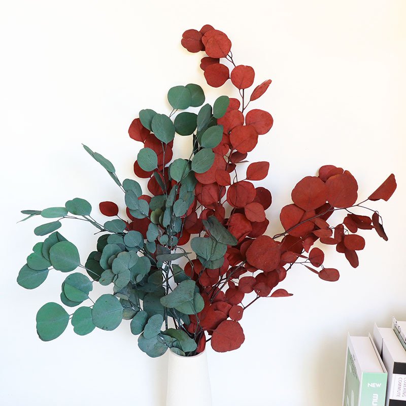 Wholesale plants dried eucalyptus leaves dry eucalyptus leaf for Christmas home decorative