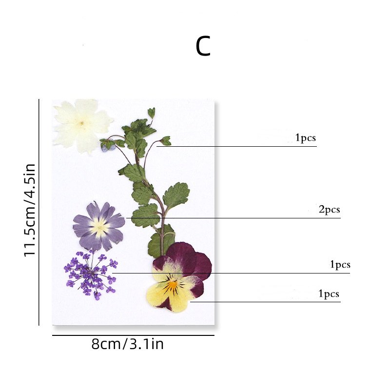 MNR2117 5 pieces mixed color and mixed size dried flowers for Kindergarten's DIY activity