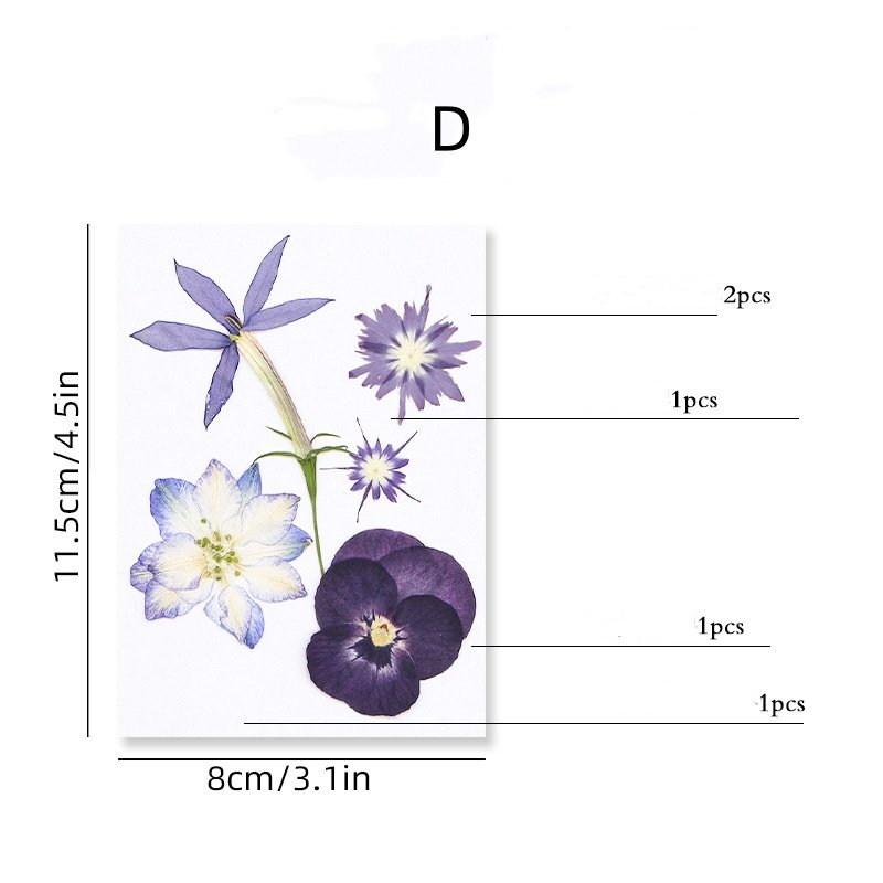 MNR2117 5 pieces mixed color and mixed size dried flowers for Kindergarten's DIY activity
