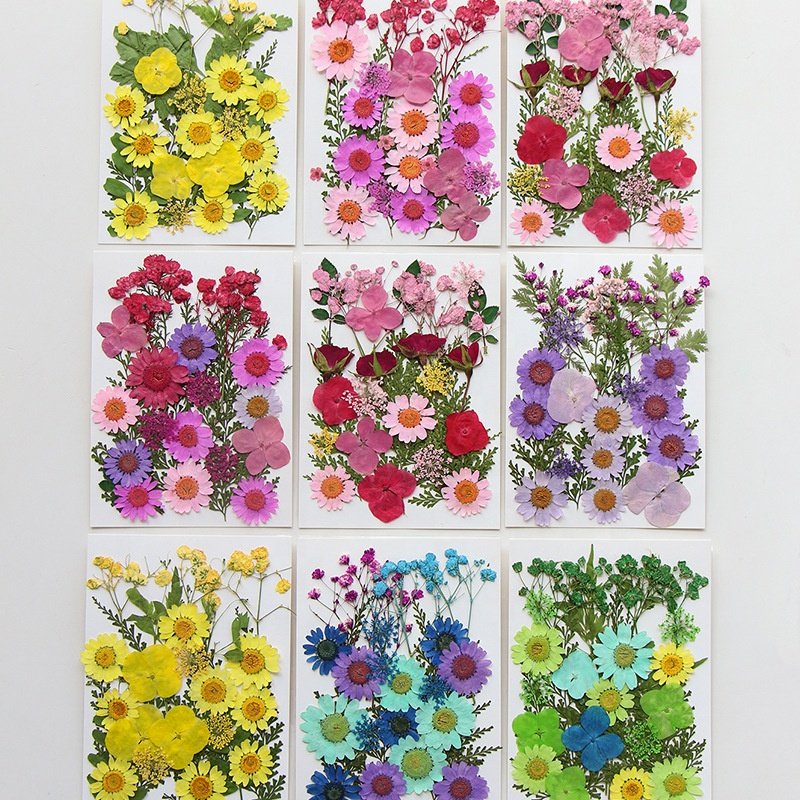 MNR2013 Pressed Mixed Random Dried Flower For DIY Epoxy Resin Craft Nail Art Materials