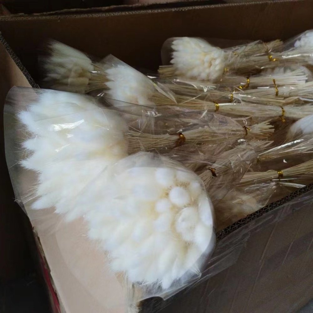 Pampas Dried Flowers Bouquet Grass Decor Natural for Vases Decoration Boho Arrangements Wedding Easter Packaging Support 43-60cm