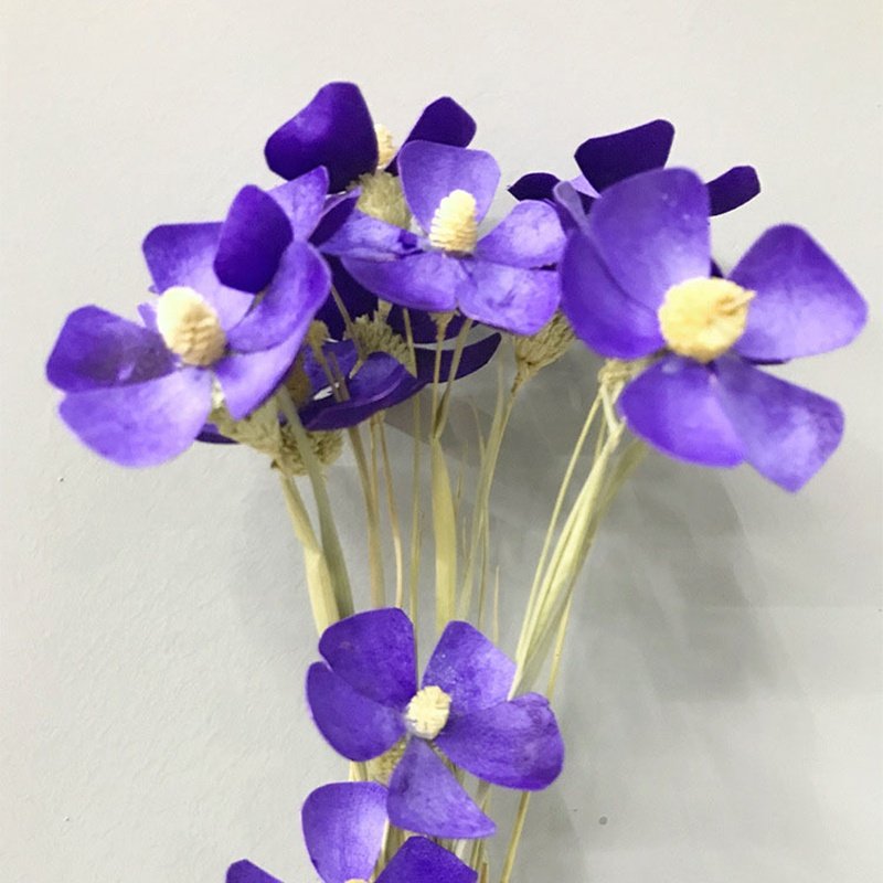 Most Popular Violet Flower Bouquet DIY Flower Bouquet Preserved Dried Flower Matthiola incana Gillyflower For Decor