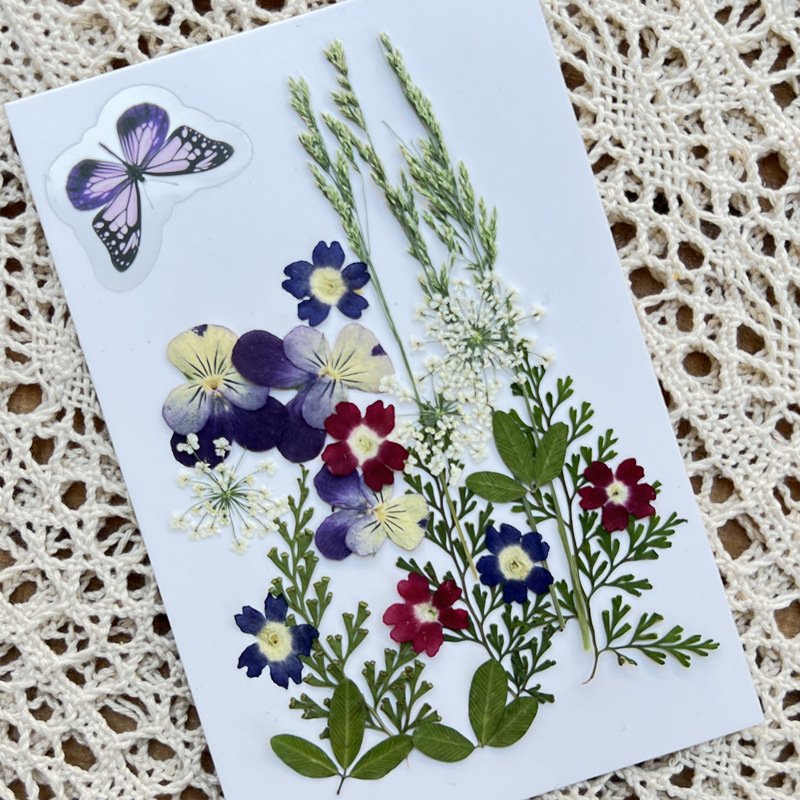 2022 New Design Kids Art DIY Dried Pressed Flowers Butterfly And Dry Plants Pressed Natural Flowers