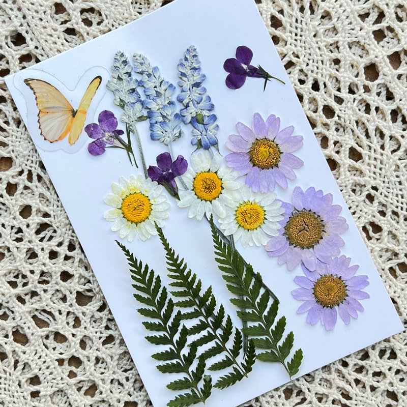 2022 New Design Kids Art DIY Dried Pressed Flowers Butterfly And Dry Plants Pressed Natural Flowers